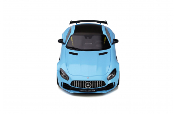 Mercedes-AMG GT-R (blue)