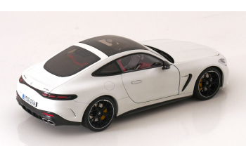 MERCEDES-BENZ AMG GT 63 4Matic (2024), matt-white