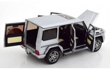 MERCEDES-BENZ G63 AMG W463 (2015), silver