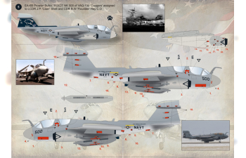 EA-6B Prowler Wet decal