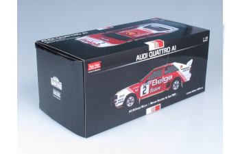 AUDI Quattro A1 - #2 M.Duez/W.Lux