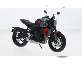 TRIUMPH 660 (2020), Grey Black