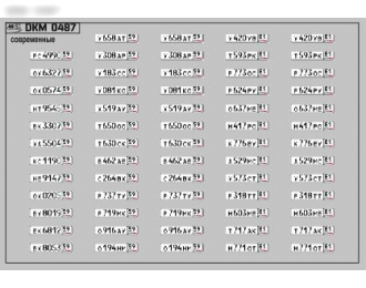 Набор декалей Номерные знаки России Пермский край (100х70)