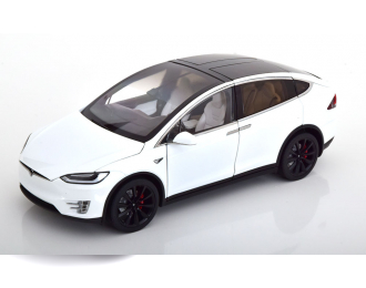 TESLA Model X P100D, white-metallic