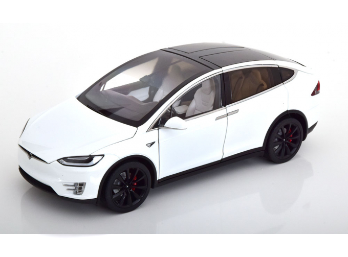 TESLA Model X P100D, white-metallic