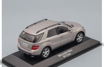 MERCEDES-BENZ M-Class W164 (2005), silver cubanit