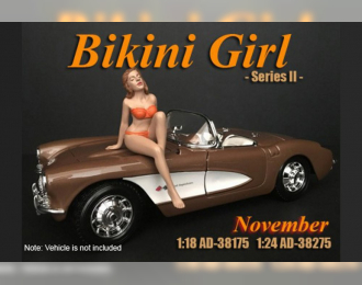 Календарь - девушка в бикини ноябрь