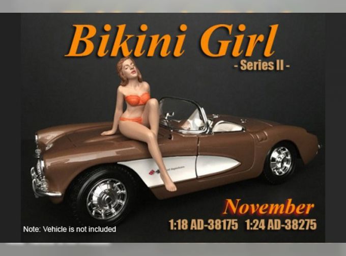 Календарь - девушка в бикини ноябрь