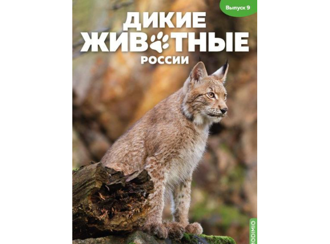 Дикие животные России № 9: Рысь