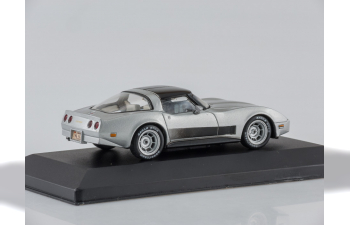 CHEVROLET Corvette C3 Coupe (1980), silver / black