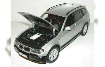 BMW X3 E83 (2004), titan silber met.