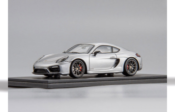 PORSCHE Cayman GTS (2015), silver