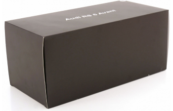 AUDI RS6 Avant, light grey