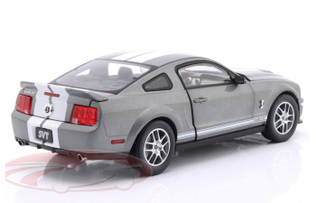 FORD Mustang Shelby GT500 (2007), grey metallic