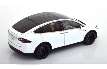 TESLA Model X P100D, white-metallic