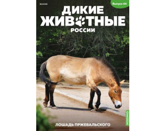 Дикие животные России № 44: Лошадь Пржевальского
