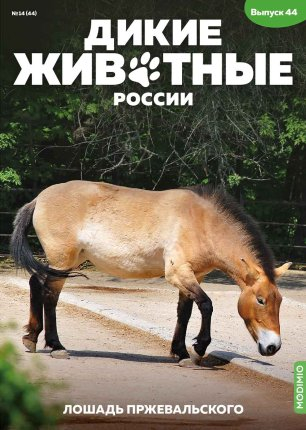 Дикие животные России № 44: Лошадь Пржевальского