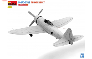 Сборная модель DRAGON WINGS P-47D-25RE Thunderbolt Airplane Military