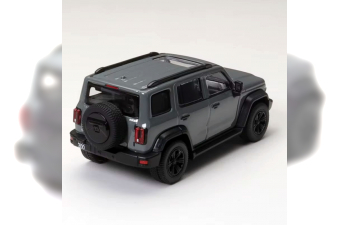 TANK 300 Off-Road Edition (2023), grey