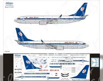 Декаль на самолет боенг 737-800 (Belavia old)