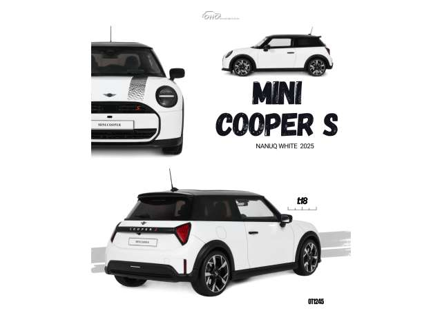 Mini Cooper S *Resin series*, Nanuq white 2025