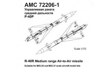 Набор для доработки Советская / российская управляемая ракета класса воздух-воздух Р-40Р (2 шт.)