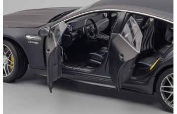 MERCEDES-BENZ AMG GT63s, gray matt