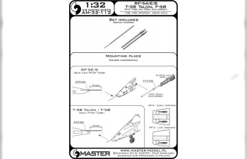 Т-38 Talon / F-5B / RF-5A, E, S - трубка Пито и 20-мм стволы