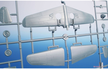 Сборная модель P-40F/L Warhawk 'Desert Hawks With Merlin'