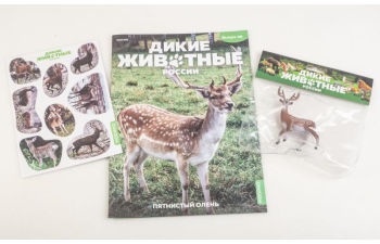 Дикие животные России № 40: Пятнистый олень