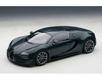 BUGATTI VEYRON SUPER SPORT 2010, DARK BLUE