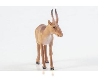 Дикие животные России № 23: Сайгак (только вложение)