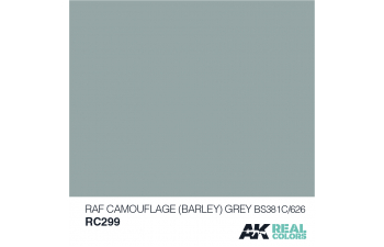 RAF Camouflage (BARLEY) Grey BS381C/626