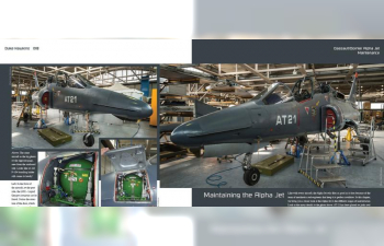 Книга Dassault / Dornier Alpha Jet - Aircraft in Detail 018