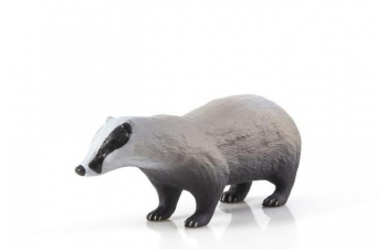 Дикие животные России № 22: Барсук (только вложение)