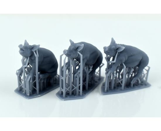 Набор из трех хрюшек 16 мм 