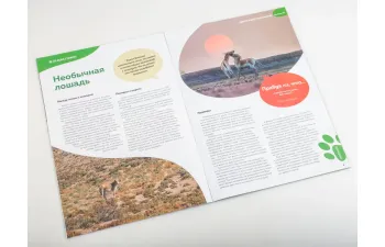 Дикие животные России № 25: Кулан