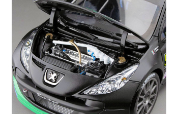 PEUGEOT 207 S2000 №58 Rally Monza Show (2013) Craig Breen - Sebastian Marshall, Black Green