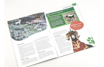 Дикие животные России № 37: Аргали