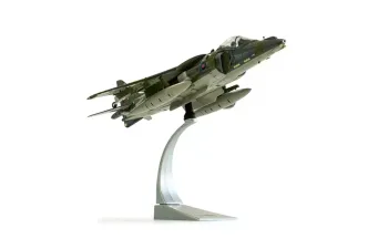 BAE Harrier GR9A ZG506/P77 Ninja 1 RAF Cottesmore Wing (2010)