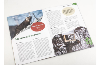 Дикие животные России № 30: Соболь