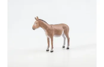 Дикие животные России № 25: Кулан