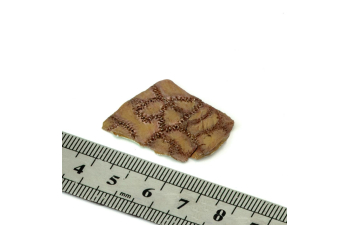 Молд плащ из кожи, размер S