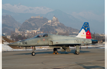 Сборная модель Американский многоцелевой истребитель Northrop F-5E Tiger II (Swiss Air Force)