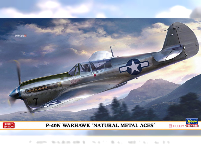 Сборная модель Американский истребитель P-40N WARHAWK "NATURAL METAL ACES" (Limited Edition)