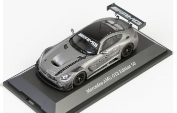 MERCEDES-BENZ AMG GT3 (C190) (2016), matt grey