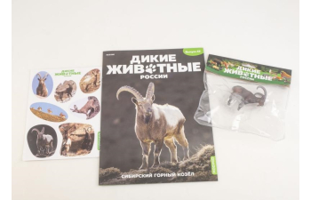 Дикие животные России № 42: Сибирский горный козёл