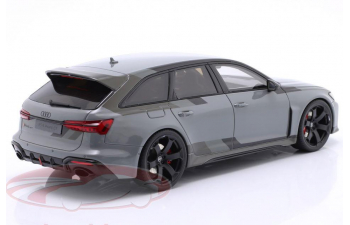 AUDI RS 6 GT (C8) (2024), nardo grey