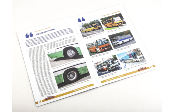 Икарус-260.51, Наши Автобусы 81