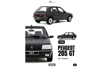 PEUGEOT 205 GT(1993), gris graphite 